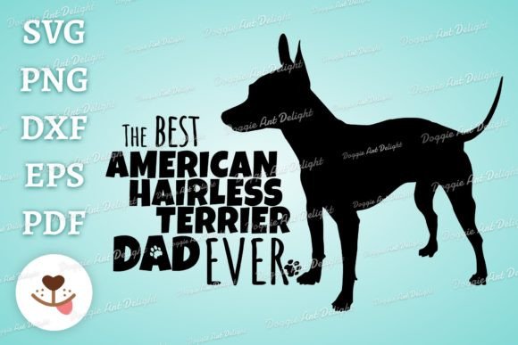 Best American Hairless Terrier Dog Dad: A Review