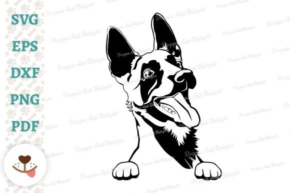 Peeking Belgian Malinois Puppy: A Designer's Review
