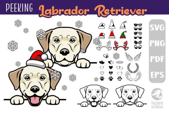 Peeking Lab Retriever SVG Clipart Review